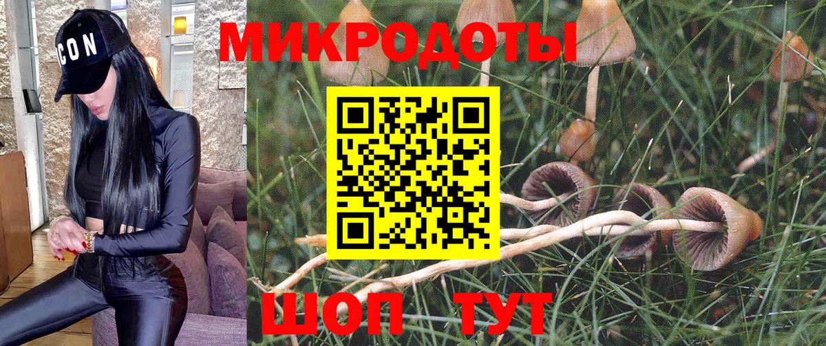 Тихорецк  Галлюциногенные грибы мухоморы  Вход с VPN  наркота  Галлюциногенные грибы мухоморы 